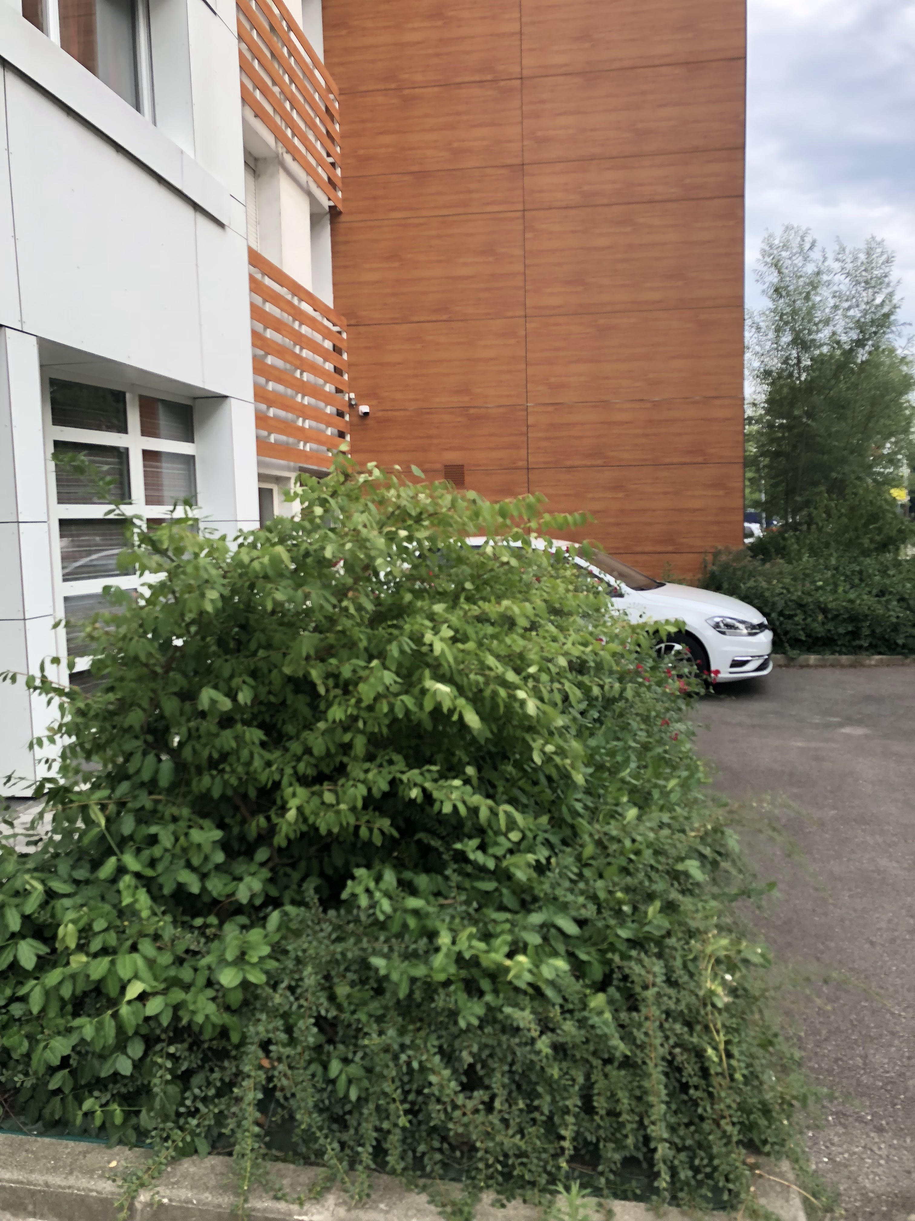 Photo n° 12 de l'avis de Nicolas.r fait le 20/07/2018 à 16:51