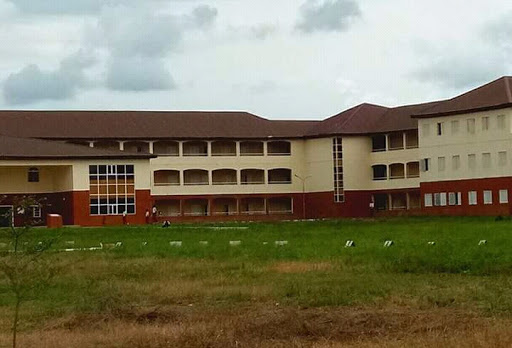 Akinorun Grammar School, Ikirun, Nigeria, Painter, state Osun
