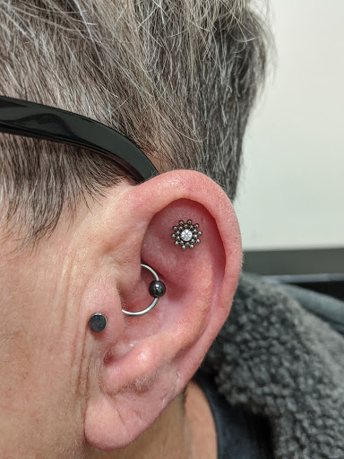 Explore tattoo animal ideas, creative tattoo ideas in Toledo, available at Steel Addictions