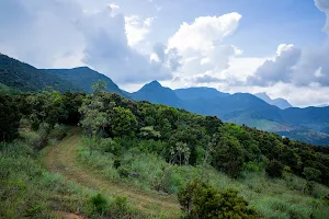 Dothalugala nature trail image