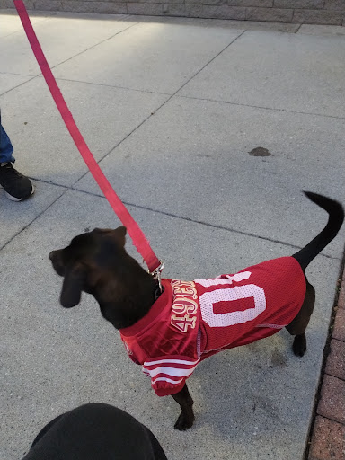 Pet Supply Store «Unleashed by Petco», reviews and photos, 1155 Lincoln Ave, San Jose, CA 95125, USA