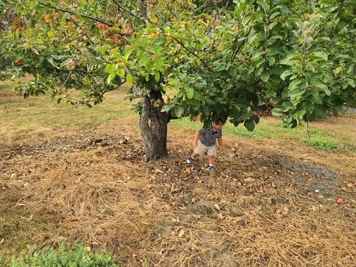 Orchard «George Hill Orchards», reviews and photos, 582 George Hill Rd, South Lancaster, MA 01561, USA