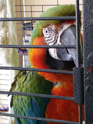 Pet Store «Last Place on Earth Pet Store», reviews and photos, 1461 E Franklin Blvd, Gastonia, NC 28054, USA