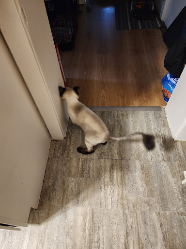 Pine Knoll Veterinary Clinic image