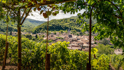 La Cave du Buizin - Maud & Sébastien Blache à Vaux-en-Bugey
