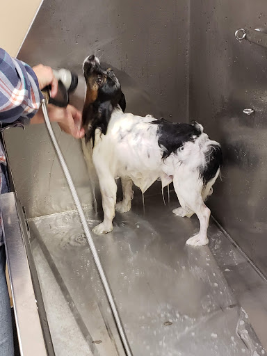 Pet Supply Store «Lemos Feed & Pet Supply», reviews and photos, 1320 Main St, Morro Bay, CA 93442, USA