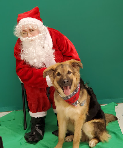 Pet Supply Store «Petco Animal Supplies», reviews and photos, 5239 Harvey St, Norton Shores, MI 49444, USA