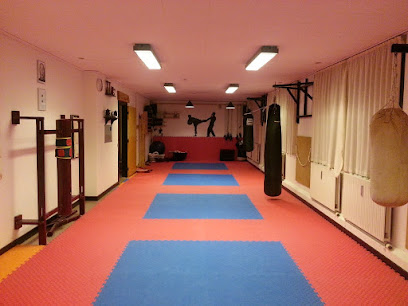 Skjern Taekwondo Klub