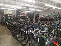 Trek Store of Savannah - Photo 8 - Car repair in Savannah, GA, Savannah