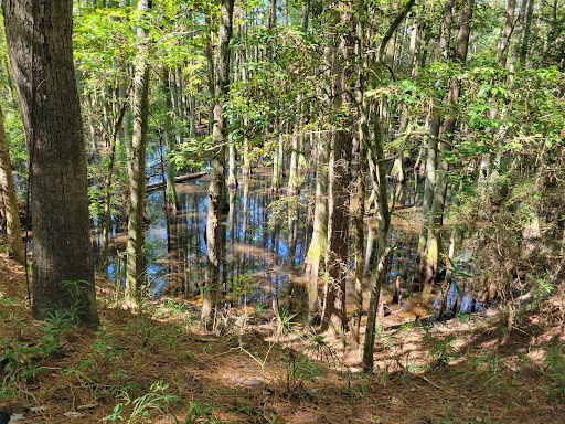 Park «Lake Houston Wilderness Park», reviews and photos, 25840 FM 1485, New Caney, TX 77357, USA