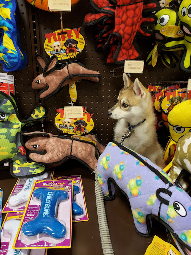 Pet Supply Store «Premier Pet Supply», reviews and photos, 63 W Auburn Rd, Rochester Hills, MI 48307, USA