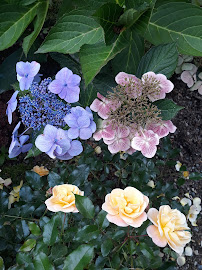 SiteOne Landscape Supply - Photo 8 - Car repair in Tacoma, WA, Tacoma