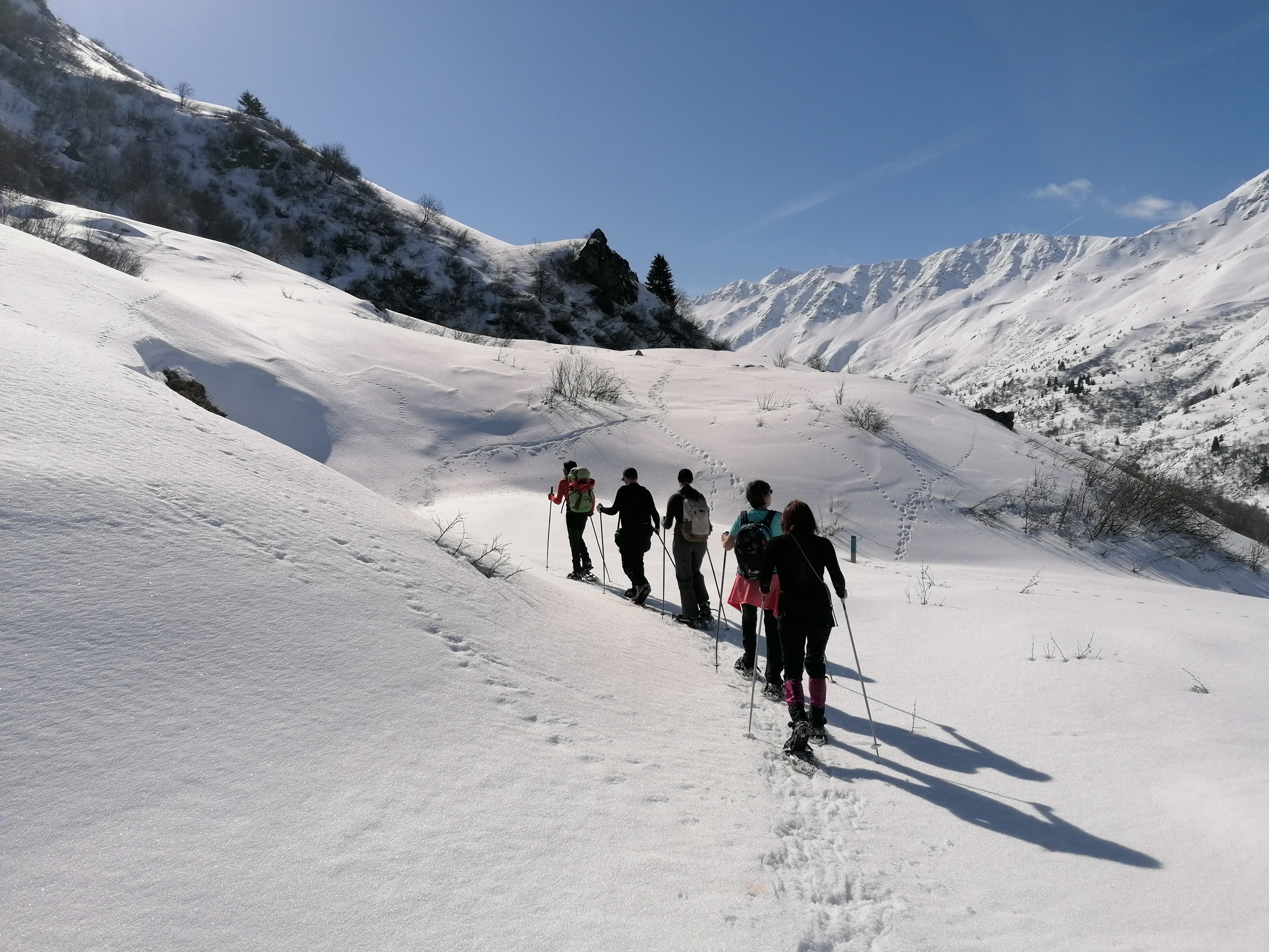 Photo n° 2 de l'avis de Sottiaux.e fait le 17/03/2024 à 13:32