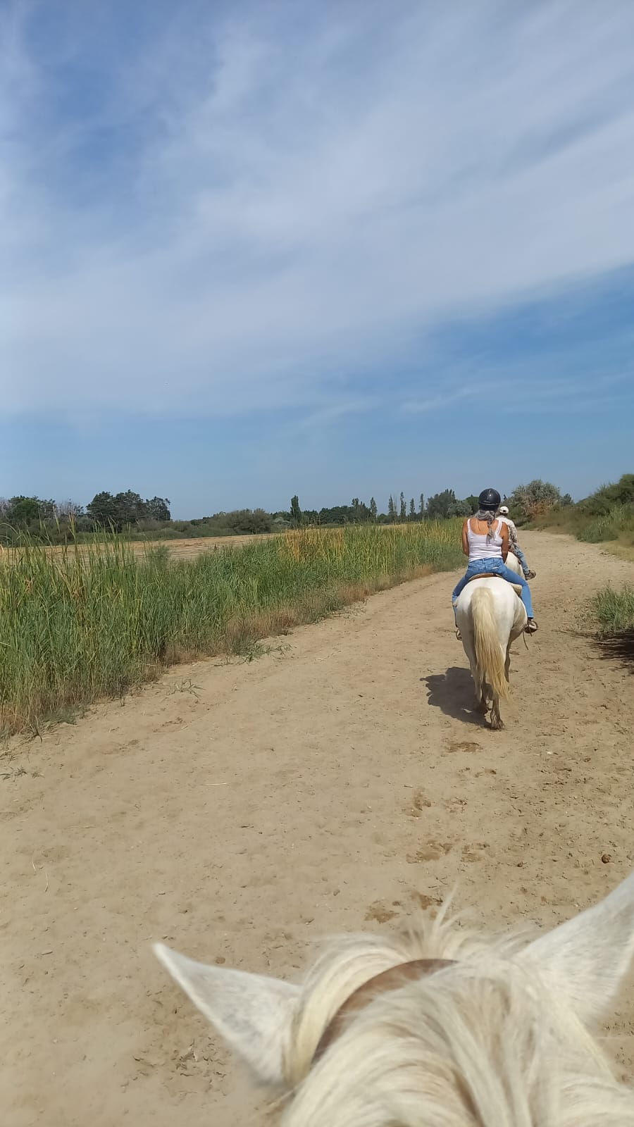 Photo n° 1 de l'avis de Helena.e fait le 19/08/2023 à 10:58