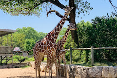 Sedgwick County Zoo