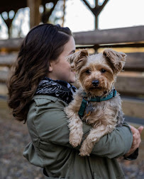 Vrsatile Productions - Photo 5 - Car repair in , Rock Hill