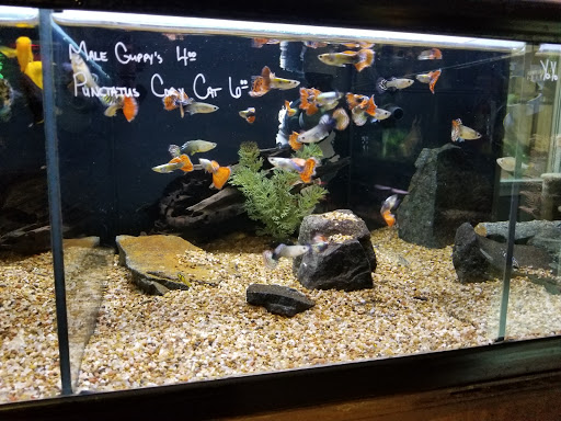 Sand Bar Pet Shop image