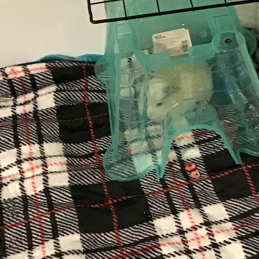 Pet Supply Store «Petco Animal Supplies», reviews and photos, 1951 N Military Trl c, West Palm Beach, FL 33409, USA