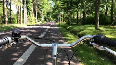 Neufchâtel-Hardelot à Neufchâtel-Hardelot