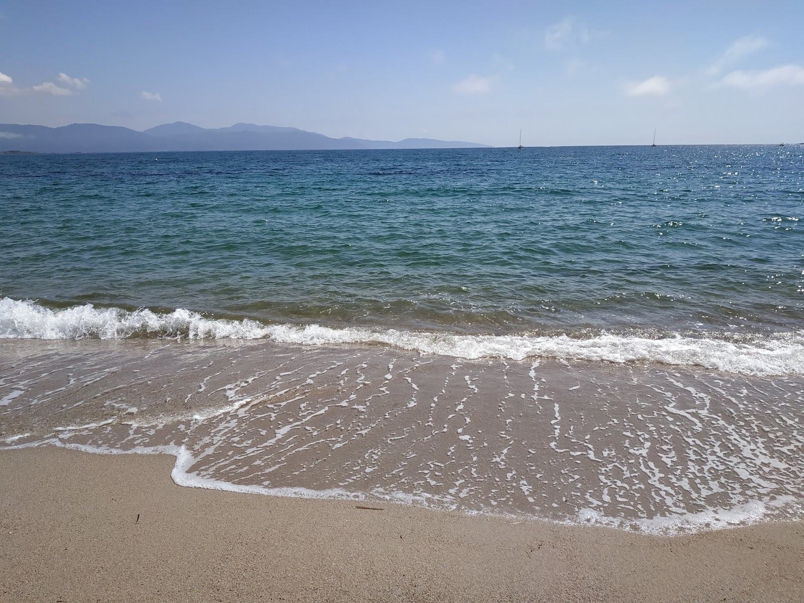 Photo de Sagone beach avec un niveau de propreté de très propre