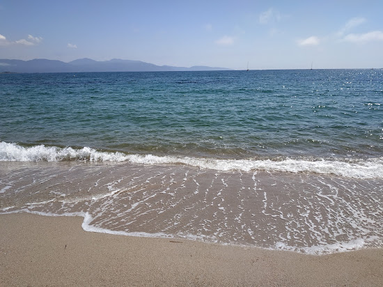 Sagone beach