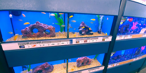 Pet Supply Store «Petco Animal Supplies», reviews and photos, 1824 E Katella Ave, Orange, CA 92867, USA