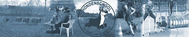 Reacties en beoordelingen van Hondenschool De Gezellige Blaffers