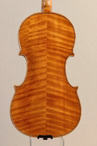 Lezioni di violino Venezia