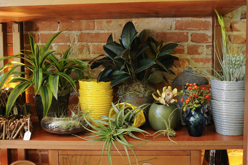 Florist «Babylon Floral», reviews and photos, 1223 E 17th Ave, Denver, CO 80218, USA