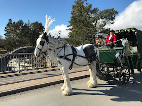Carrbridge Carriage Driving