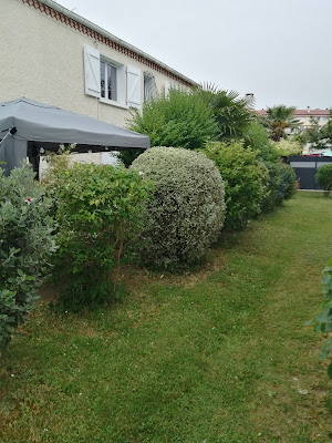 Jardin Services à Pau