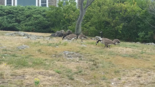 Park «Chandler Hovey Park», reviews and photos, Lighthouse Ln, Marblehead, MA 01945, USA