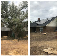 Mantis Landscaping and Tree Service - Photo 4 - Car repair in , Abilene