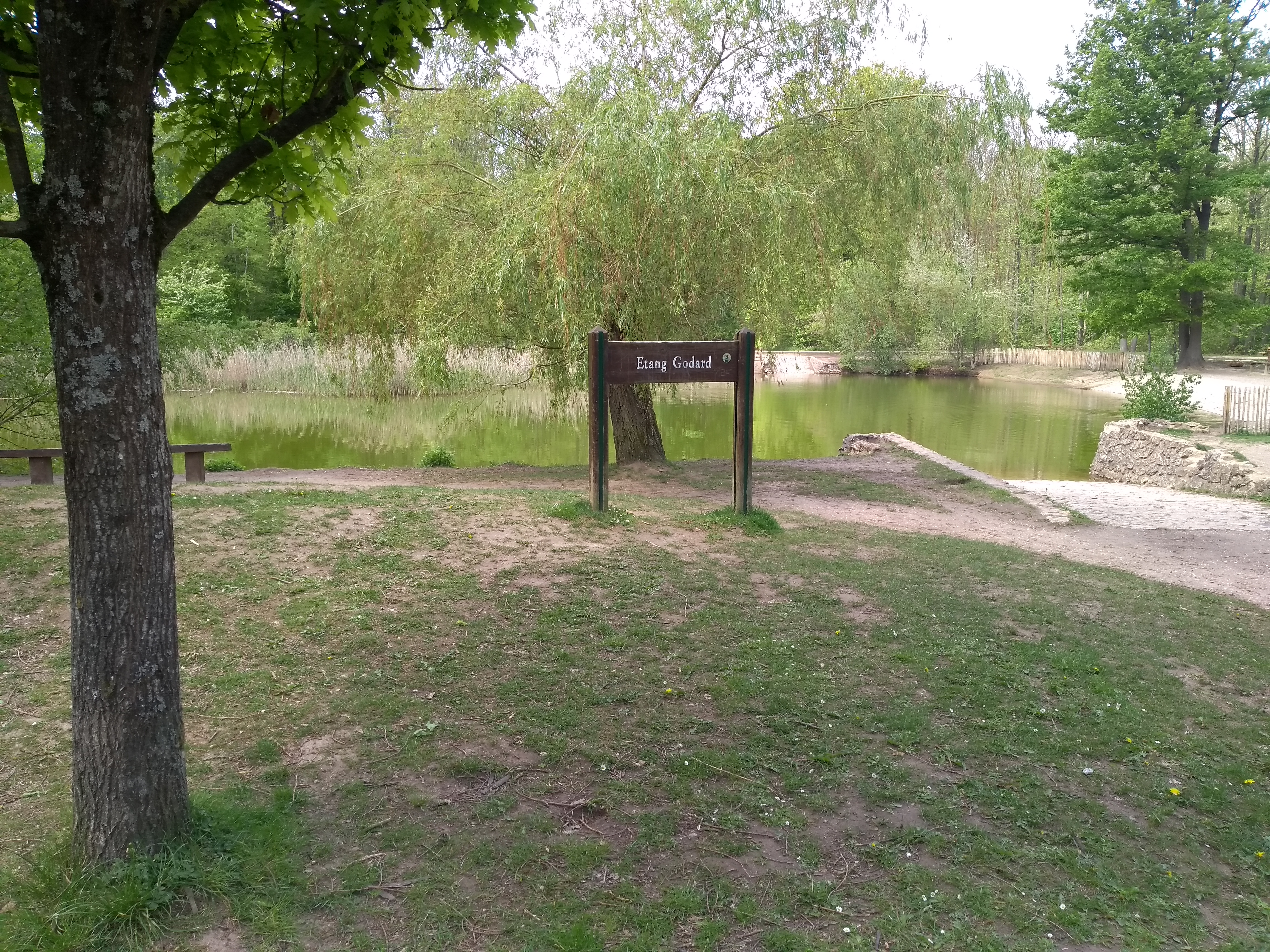 Photo n° 2 de l'avis de Martial.O fait le 05/05/2019 à 19:03