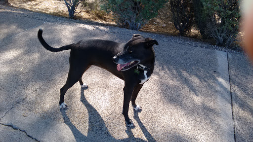 Park «Pueblo Park», reviews and photos, Peublo Vista Dr, Las Vegas, NV 89128, USA