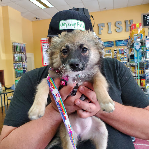 Pet Supply Store «Odyssey Pets», reviews and photos, 14999 Preston Rd #400a, Dallas, TX 75254, USA