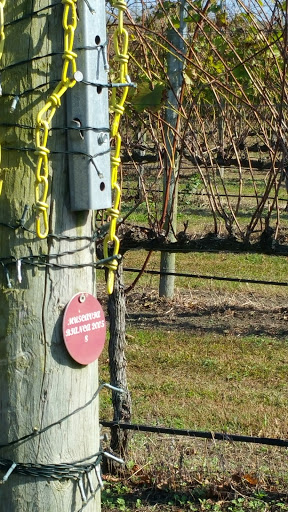Winery «Willow Creek Winery and Farm», reviews and photos, 160-168 Stevens St, West Cape May, NJ 08204, USA