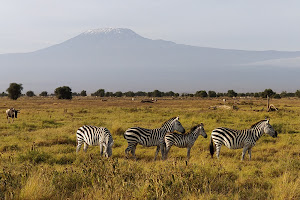 Amboseli National Park image