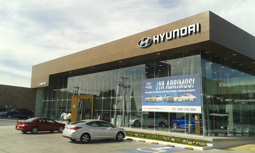 Hyundai Campestre