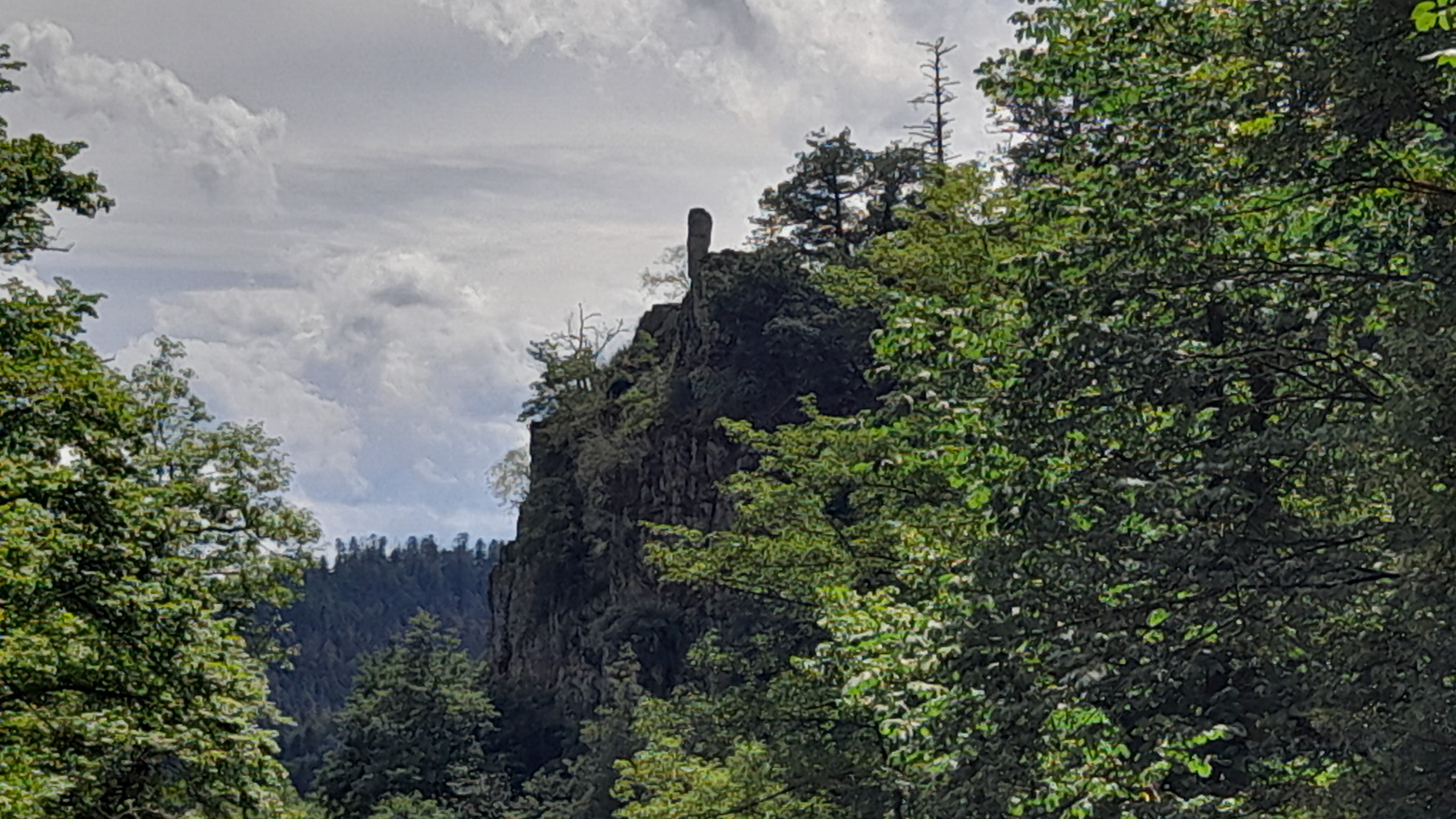 Photo n° 6 de l'avis de Kris.c fait le 20/07/2022 à 13:28