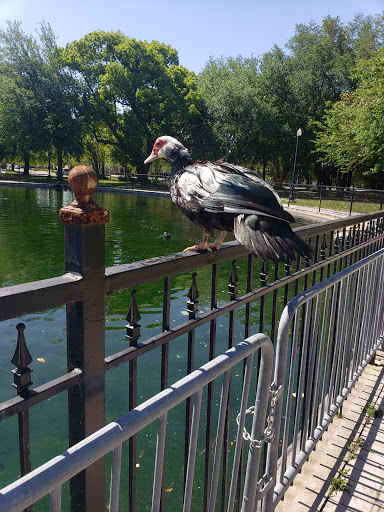 Park «Riverside Park», reviews and photos, 753 Park St, Jacksonville, FL 32204, USA