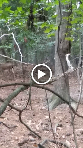 Zoo «Waccatee Zoological Farm», reviews and photos, 8500 Enterprise Rd, Myrtle Beach, SC 29588, USA