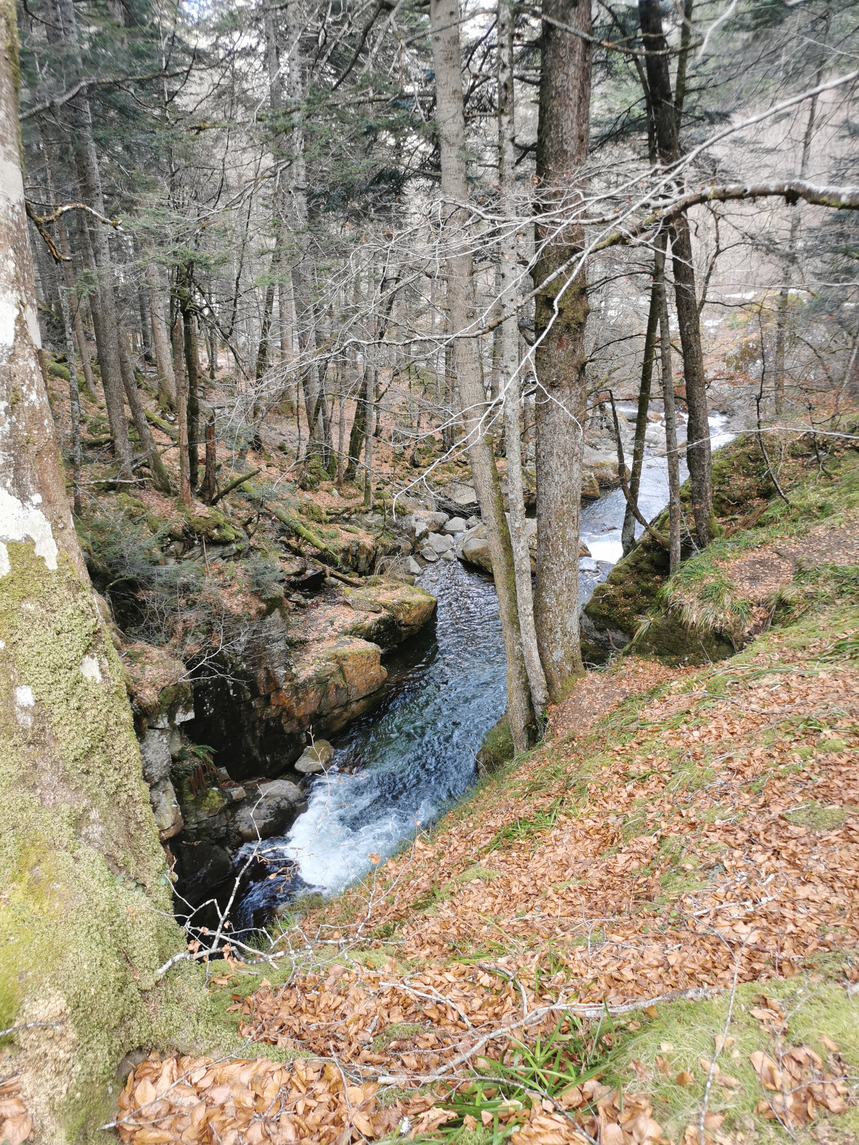 Photo n° 2 de l'avis de Jérôme.o fait le 24/02/2022 à 18:36