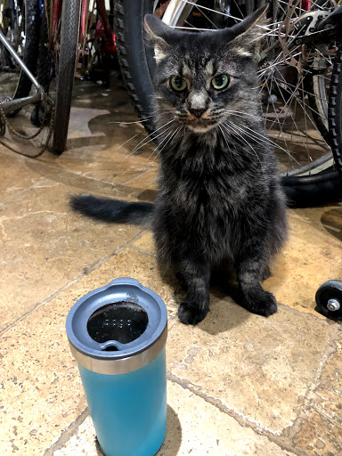 Bicycle Store «Classic Cycle», reviews and photos, 812 Molalla Ave, Oregon City, OR 97045, USA