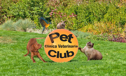 Clínica Veterinaria Petclub