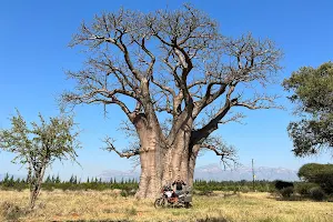 Ndlovumzi Nature Reserve image