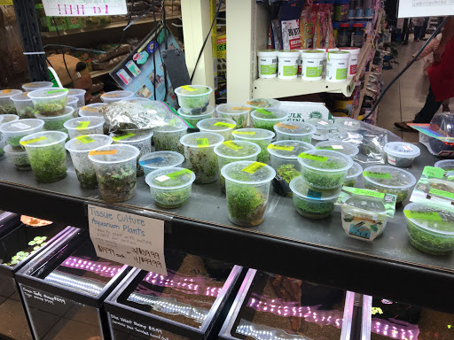 Pet Store «Animal Ark Pet Stores», reviews and photos, 33 Center St, Orem, UT 84057, USA