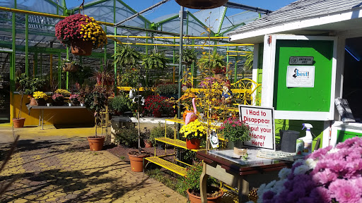 Florist «Dutch & Olgas Greenhouse», reviews and photos, 1285 NJ-36, Hazlet, NJ 07730, USA