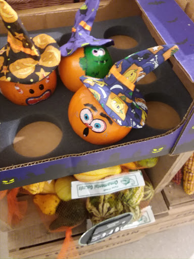 Grocery Store «Food Lion», reviews and photos, 1202 W Broad St, Elizabethtown, NC 28337, USA