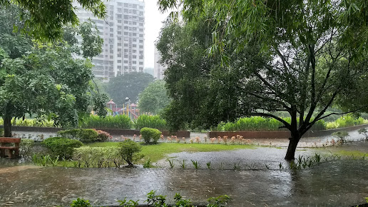 Google Maps image 28